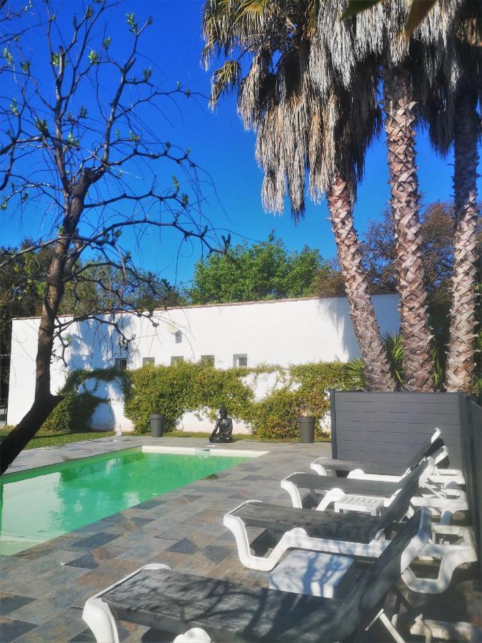Le Mas Du Bijou Bleu Puget-sur Argens Exterior photo